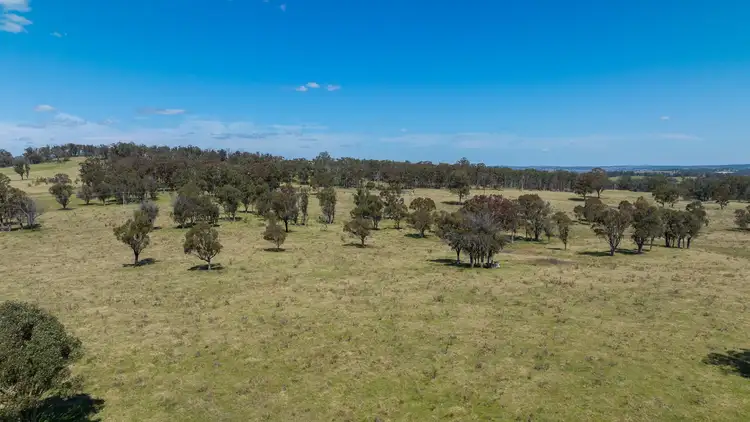 Seventh view of Homely rural property listing, 1692 Grafton Road, Armidale NSW 2350