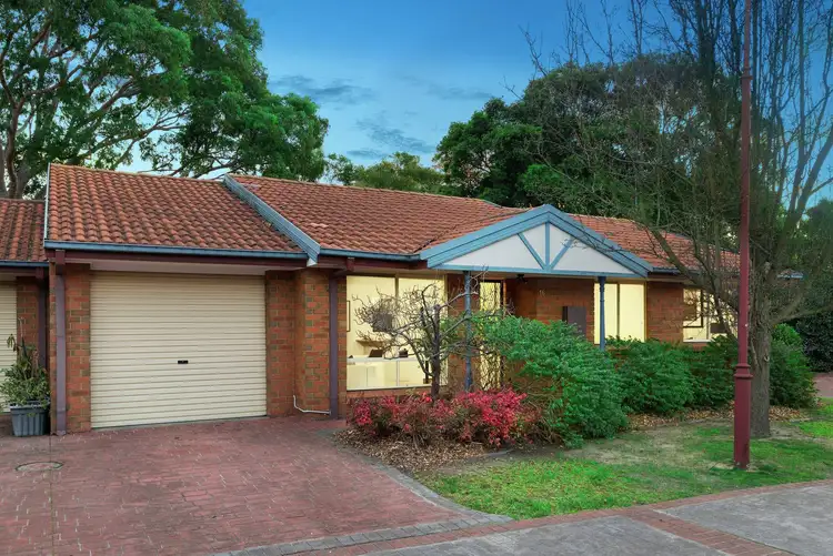 Main view of Homely unit listing, 16 Sandon Circuit, Forest Hill VIC 3131