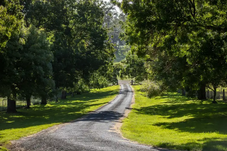 Second view of Homely rural property listing, 196 Toms Gully Road, Black Mountain NSW 2365