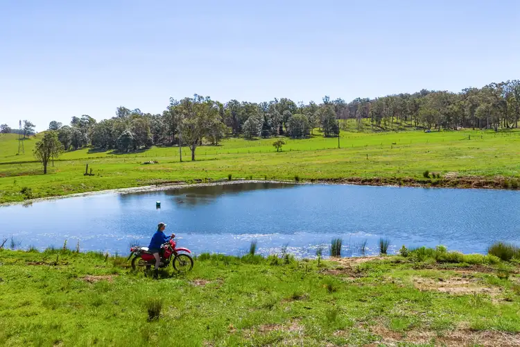 Lot 1/203 Collingwood Road, Hampton QLD 4352