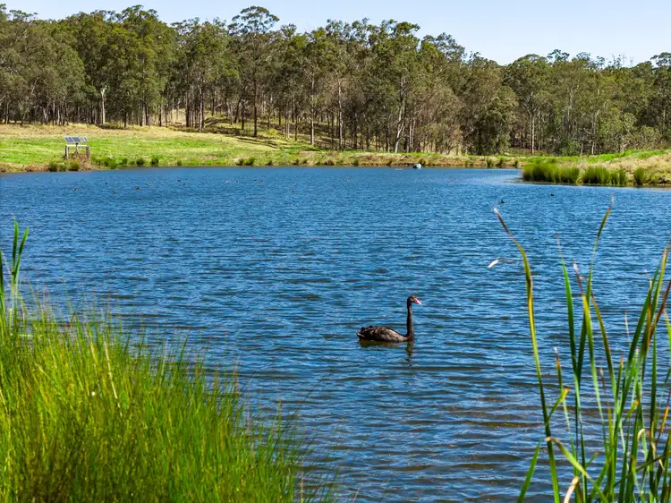 Fourth view of Homely rural property listing, Lot 1/203 Collingwood Road, Hampton QLD 4352