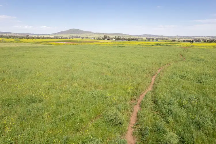 175 Barlow Road, Gunnedah NSW 2380