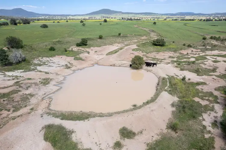 Seventh view of Homely rural property listing, 175 Barlow Road, Gunnedah NSW 2380