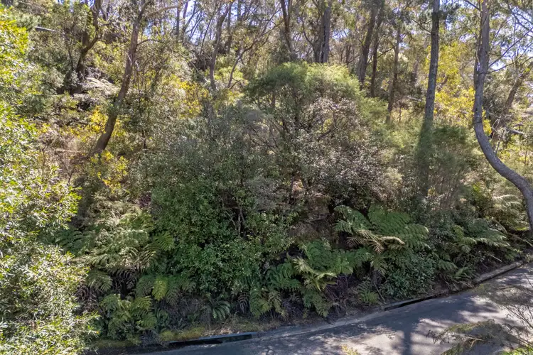 Third view of Homely land listing, 53-55 Dell Street, Blackheath NSW 2785