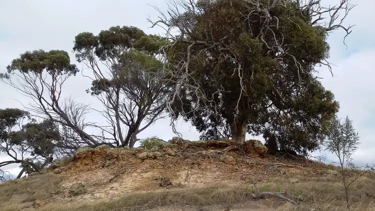 Second view of Homely land listing, 154 Carlisle Street, Woodanilling WA 6316