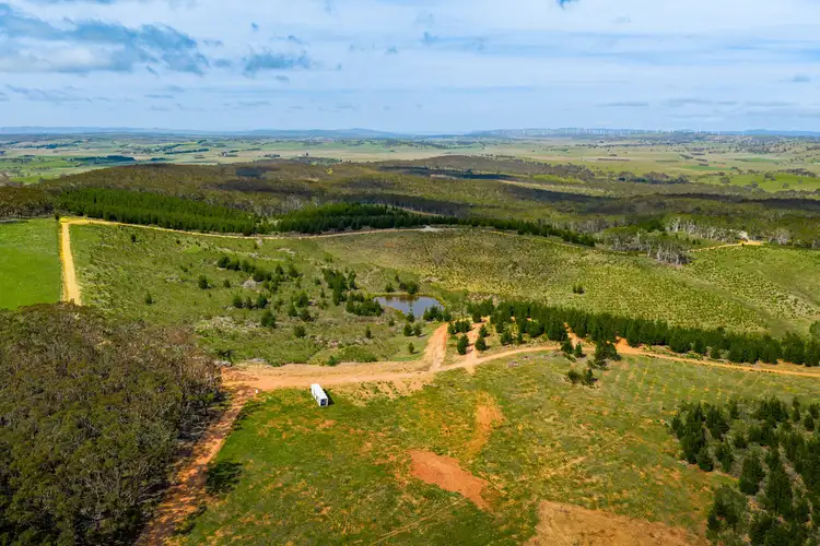 629 Mullins Creek Road, Gurrundah NSW 2581
