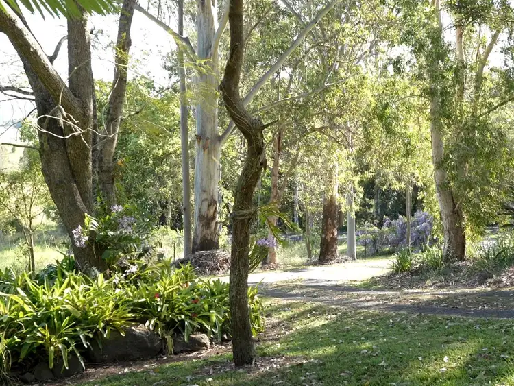 Third view of Homely rural property listing, 70 Booerie Creek Road, Booerie Creek NSW 2480