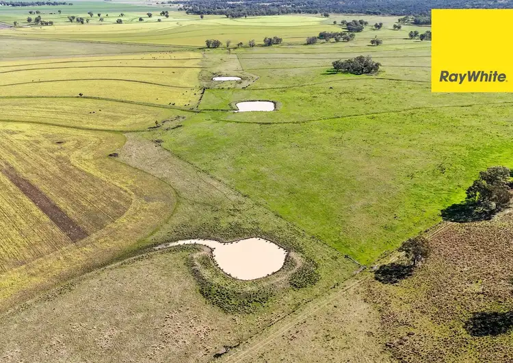 Main view of Homely rural property listing, 231 Middletons Lane, Inverell NSW 2360