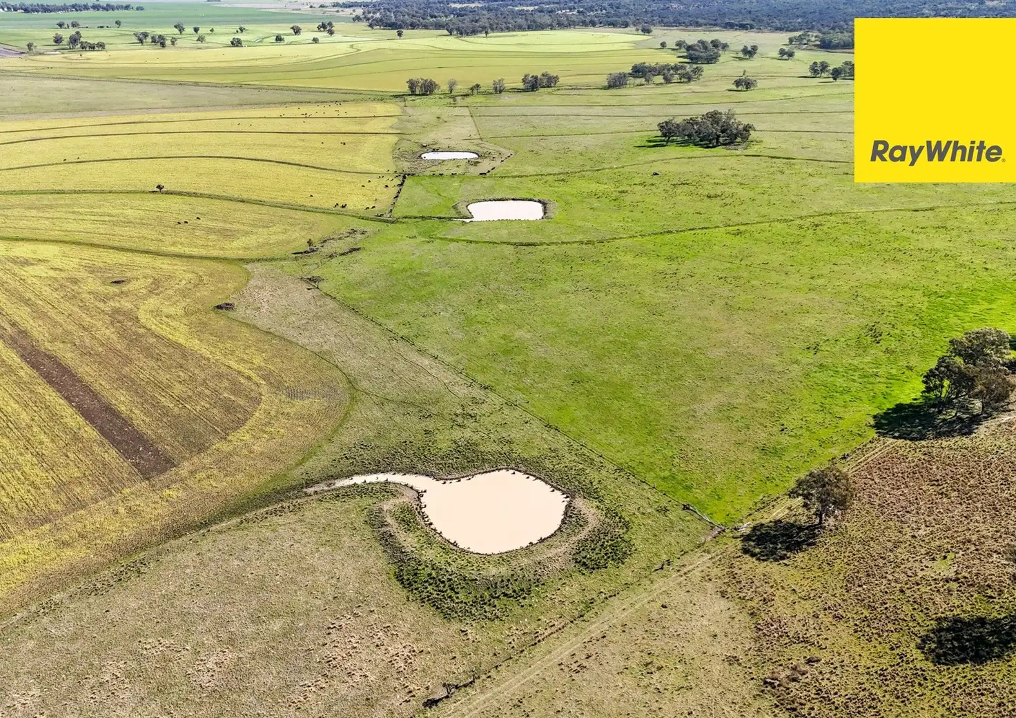 Main view of Homely rural property listing, 231 Middletons Lane, Inverell NSW 2360