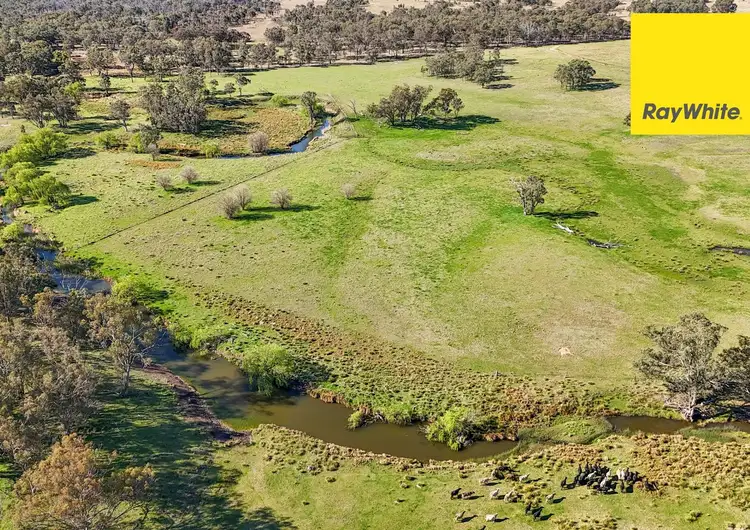 Third view of Homely rural property listing, 231 Middletons Lane, Inverell NSW 2360