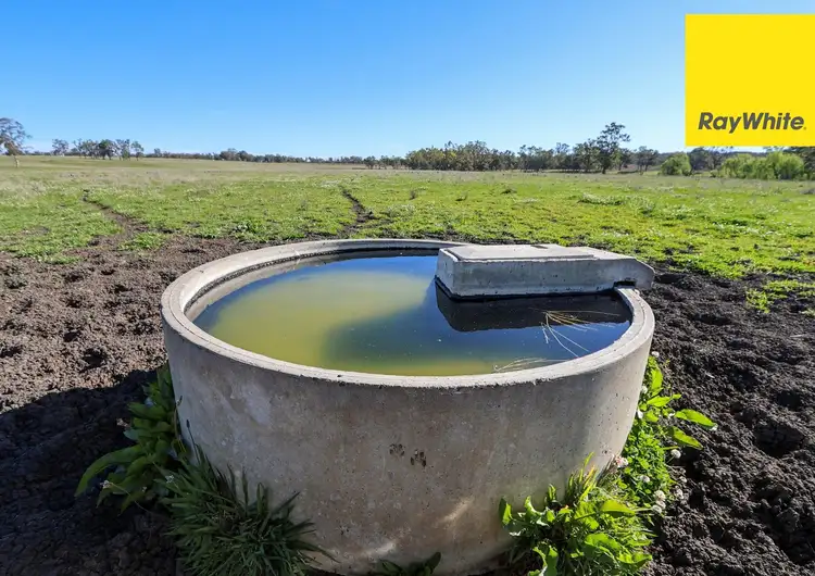 Sixth view of Homely rural property listing, 231 Middletons Lane, Inverell NSW 2360