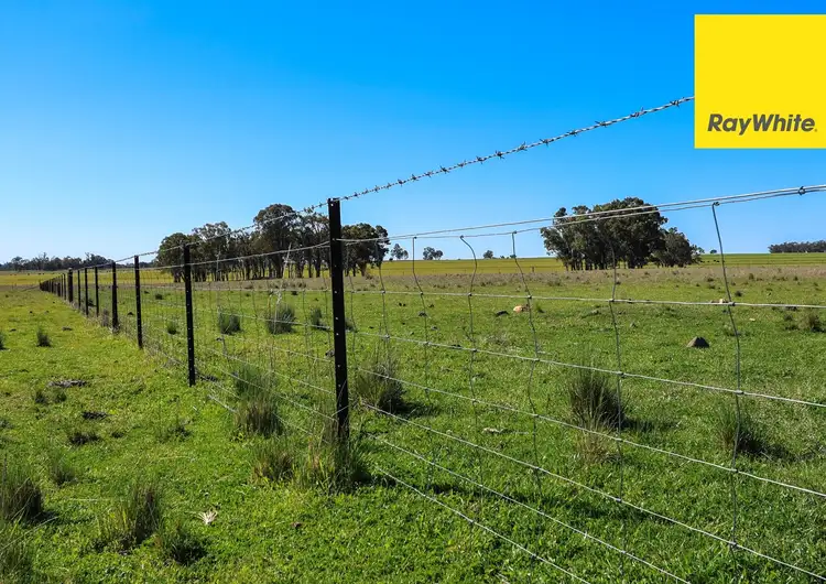 Seventh view of Homely rural property listing, 231 Middletons Lane, Inverell NSW 2360