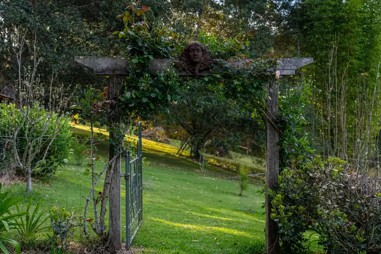 Sixth view of Homely rural property listing, 1934 Chichester Dam Road, Bandon Grove via, Dungog NSW 2420