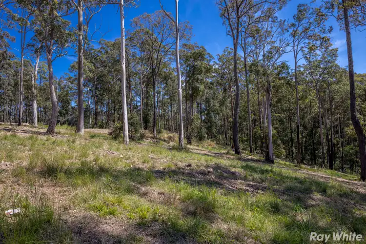 Fourth view of Homely land listing, Lot 3 Pine Valley Way 'Summerland Estate', Hallidays Point NSW 2430