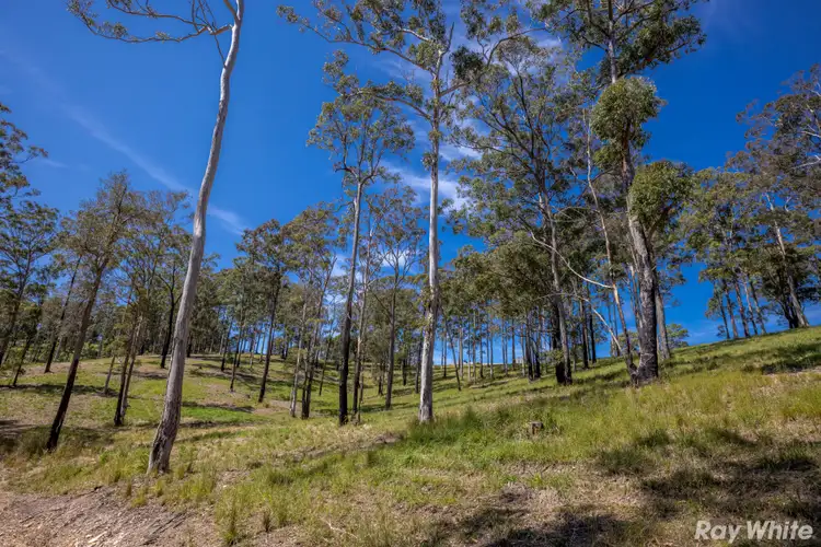 Third view of Homely land listing, Lot 8 Tallwoods Drive 'Summerland Estate', Hallidays Point NSW 2430