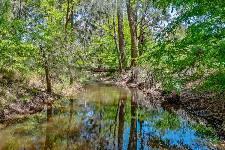 101 Mitchells Flat Road, Mitchells Flat,, Singleton NSW 2330