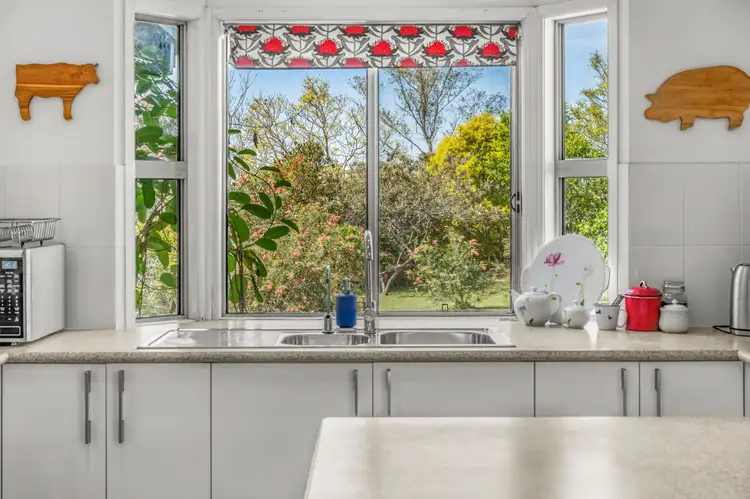 Fourth view of Homely rural property listing, 101 Mitchells Flat Road, Mitchells Flat,, Singleton NSW 2330