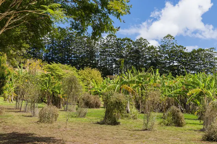 Sixth view of Homely rural property listing, 209 Webster Road, Goomboorian QLD 4570