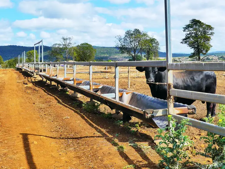 Third view of Homely rural property listing, 260 Shannen Road, Dalma QLD 4702