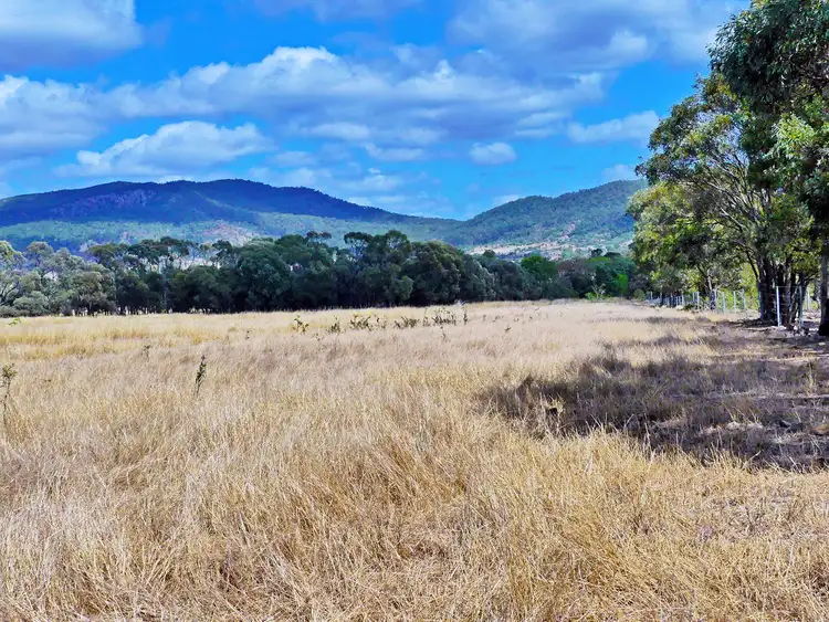 Fourth view of Homely rural property listing, 260 Shannen Road, Dalma QLD 4702