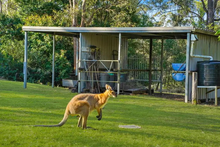 Seventh view of Homely rural property listing, 75 Kloske Road, Burbank QLD 4156