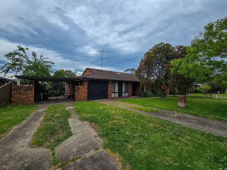 Main view of Homely house listing, 13 Guernsey Avenue, Minto NSW 2566