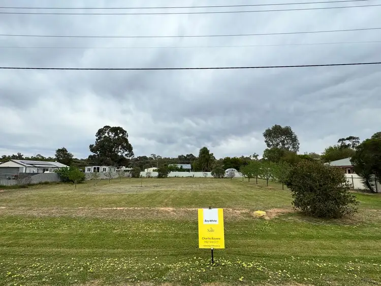 20 Uri Street, Darlington Point NSW 2706