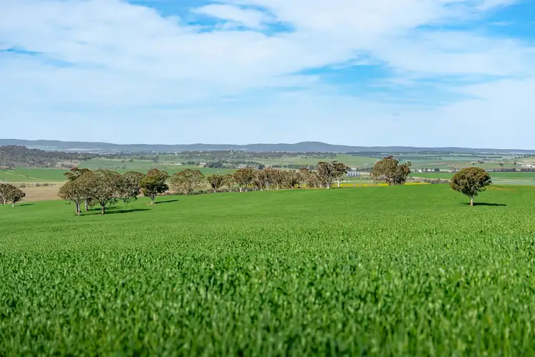 Second view of Homely rural property listing, 276 Currawang Road, Goulburn NSW 2580