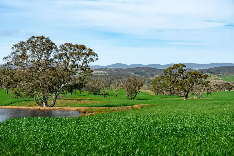 Seventh view of Homely rural property listing, 276 Currawang Road, Goulburn NSW 2580