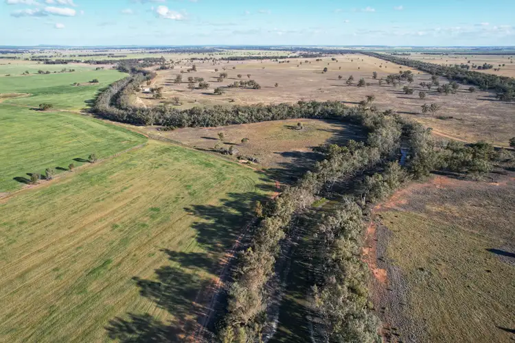 Second view of Homely rural property listing, Kookaburragong 8048 The Gipps Way, Condobolin NSW 2877