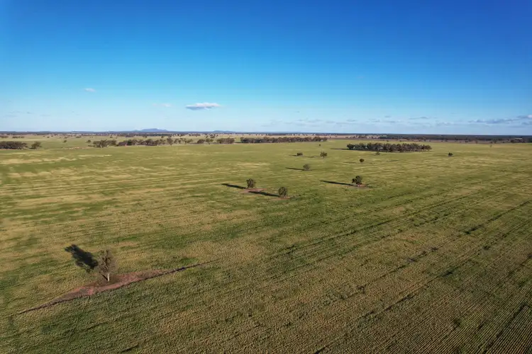 Fourth view of Homely rural property listing, Kookaburragong 8048 The Gipps Way, Condobolin NSW 2877