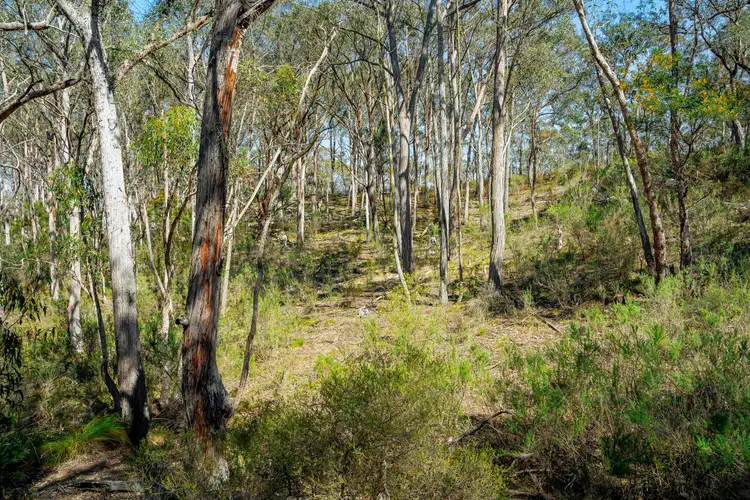 Third view of Homely rural property listing, 1185 Mountain Ash Road, Gundary NSW 2580
