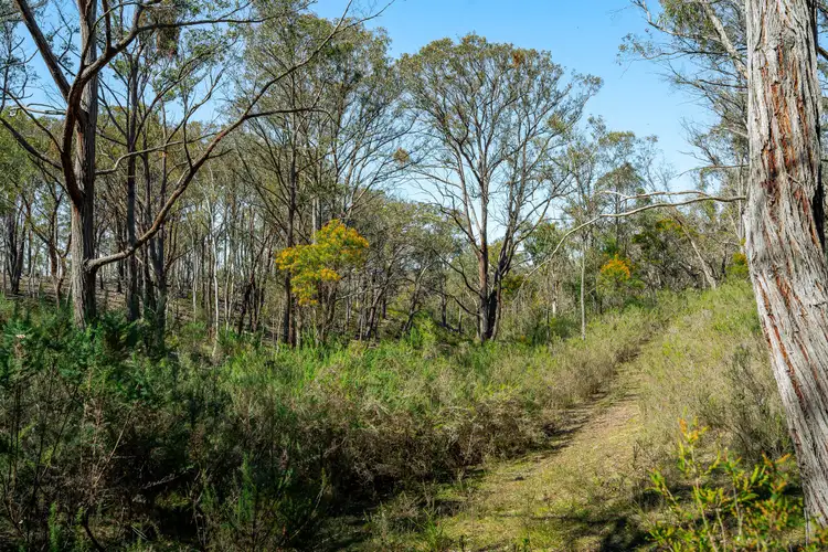 Seventh view of Homely rural property listing, 1185 Mountain Ash Road, Gundary NSW 2580