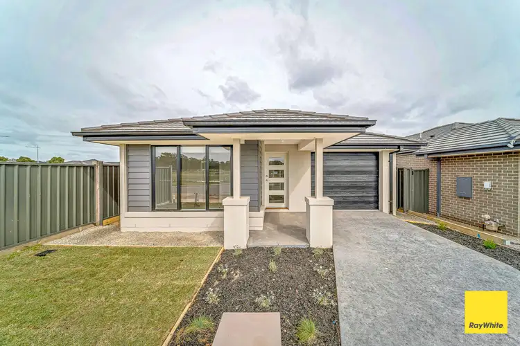 3 Betoota Avenue