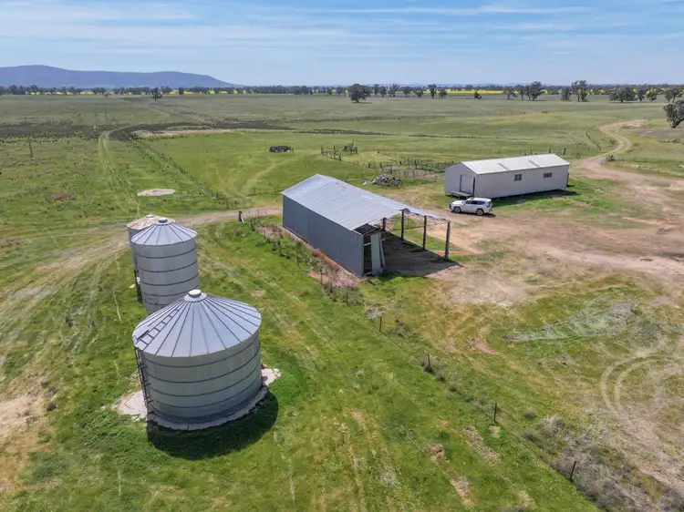 Sixth view of Homely rural property listing, 100 Tauntons Road, Kikiamah NSW 2594