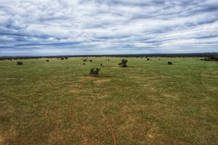 Second view of Homely rural property listing, 'Napunyah' 1224 Eremeran Road, Condobolin NSW 2877