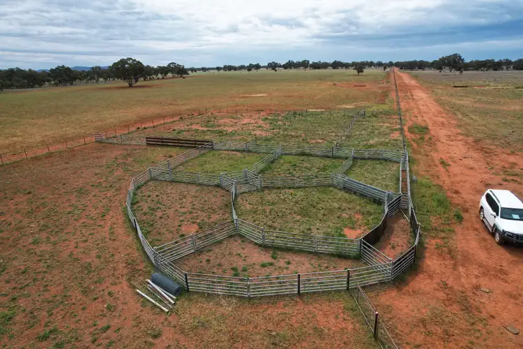 Fourth view of Homely rural property listing, 'Napunyah' 1224 Eremeran Road, Condobolin NSW 2877