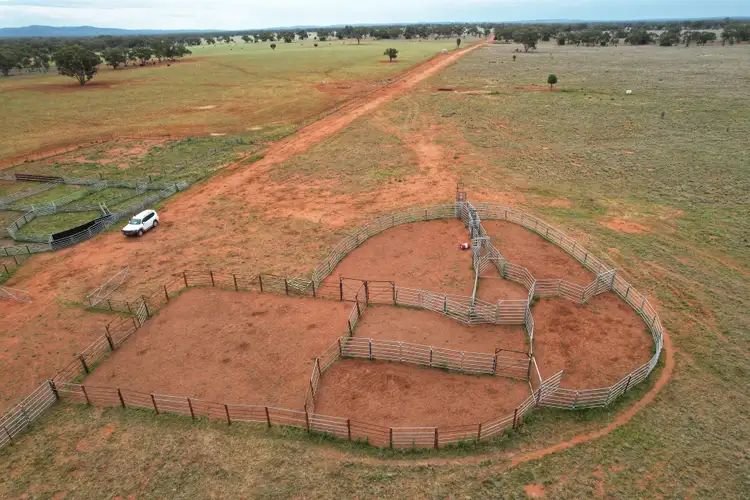 Fifth view of Homely rural property listing, 'Napunyah' 1224 Eremeran Road, Condobolin NSW 2877