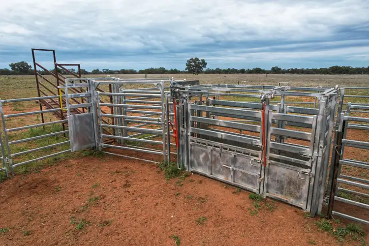 Sixth view of Homely rural property listing, 'Napunyah' 1224 Eremeran Road, Condobolin NSW 2877