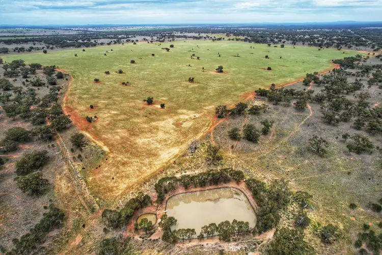 Seventh view of Homely rural property listing, 'Napunyah' 1224 Eremeran Road, Condobolin NSW 2877