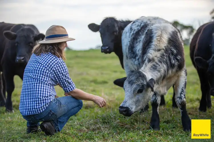 Second view of Homely rural property listing, 6060 Waterfall Way, Dorrigo NSW 2453