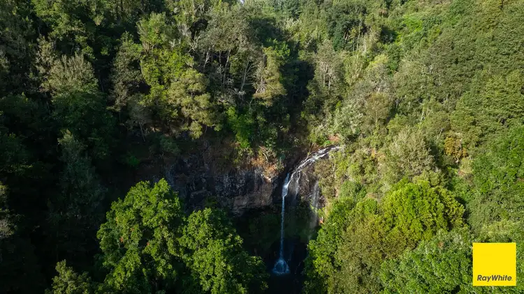 Third view of Homely rural property listing, 6060 Waterfall Way, Dorrigo NSW 2453