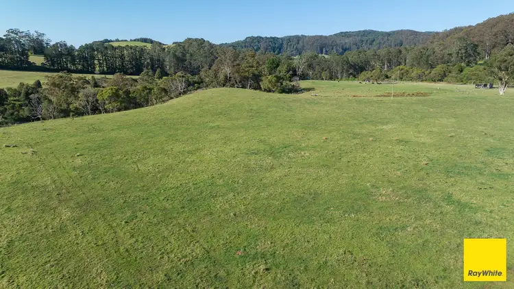 Fourth view of Homely rural property listing, 6060 Waterfall Way, Dorrigo NSW 2453
