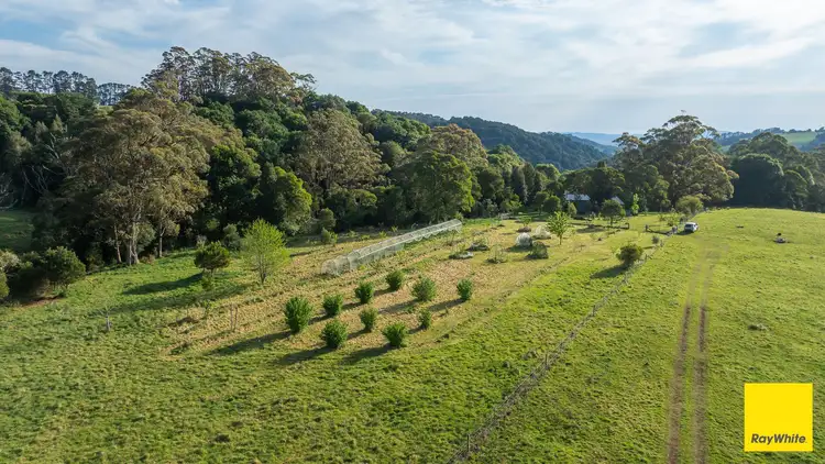 Fifth view of Homely rural property listing, 6060 Waterfall Way, Dorrigo NSW 2453