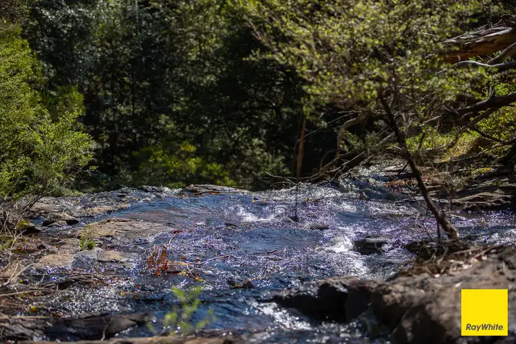 Sixth view of Homely rural property listing, 6060 Waterfall Way, Dorrigo NSW 2453