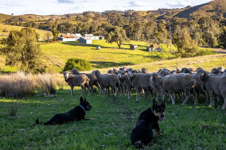 Fourth view of Homely land listing, "The Junction" Mulgowrie Road, Crookwell NSW 2583