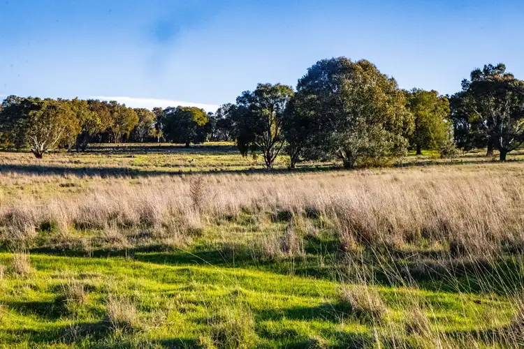 Seventh view of Homely land listing, "The Junction" Mulgowrie Road, Crookwell NSW 2583