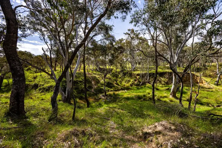 Seventh view of Homely land listing, "Inyanga" 79 Zouch Road, Yass NSW 2582