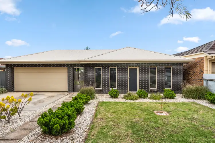 19 Hender Avenue, Klemzig SA 5087