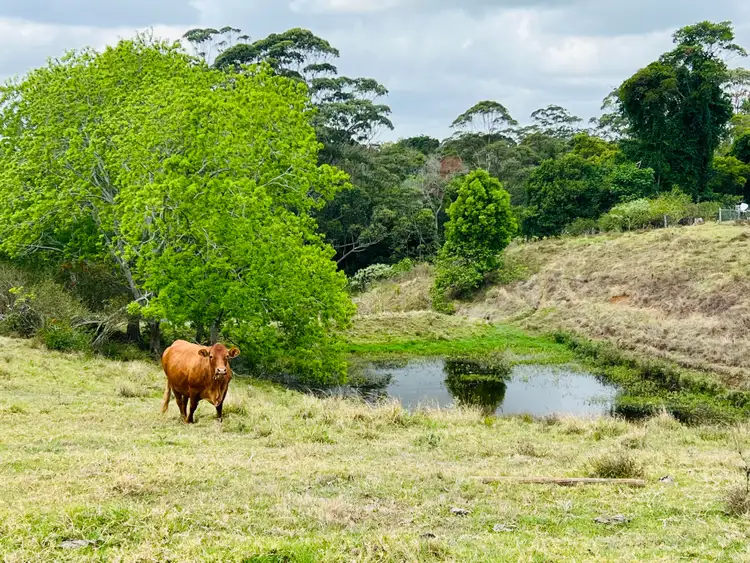 Fifth view of Homely rural property listing, 50 Horne Road, Mount Mee QLD 4521